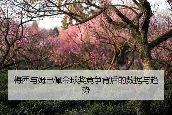 梅西与姆巴佩金球奖竞争背后的数据与趋势